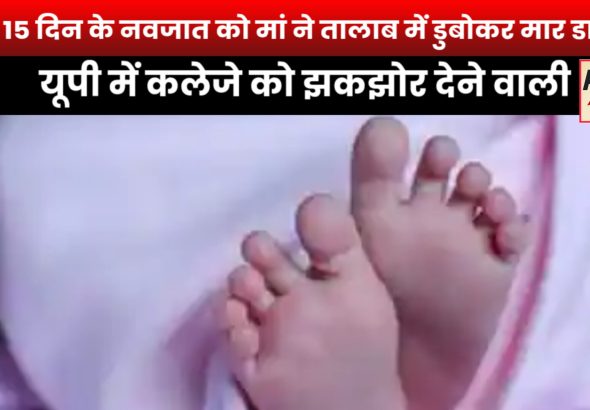 InShot_20251112_202659983