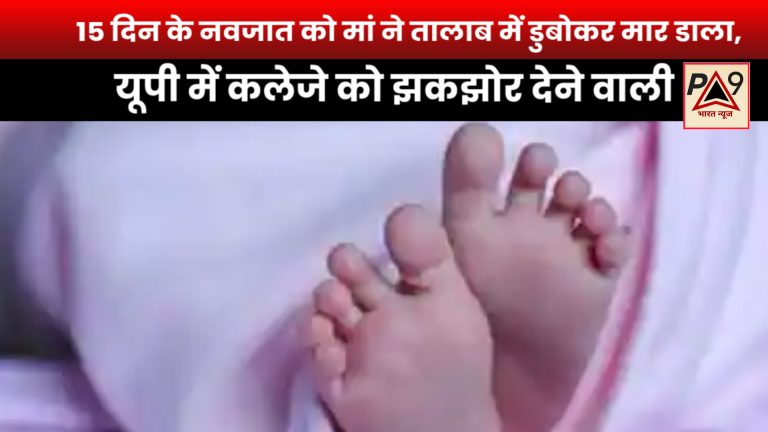 InShot_20251112_202659983